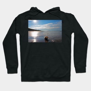 She sells sea shells Hoodie